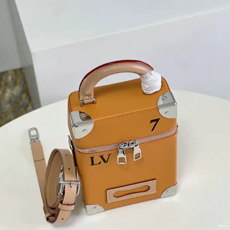 LV 2204YA0096 Bag 0808